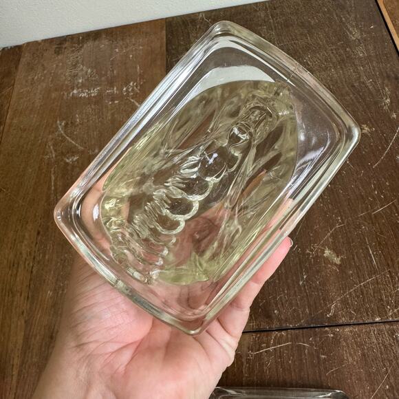 Federal Glass 1940s Clear Glass Horse Head Book End Pair (2 pc) Shelf Decor - Picture 9 of 9